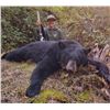 Image 2 : 5-Day Idaho Black Bear Hunt for One (1) Hunter