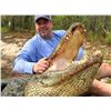 Image 2 : Florida Gator Hunt For 2