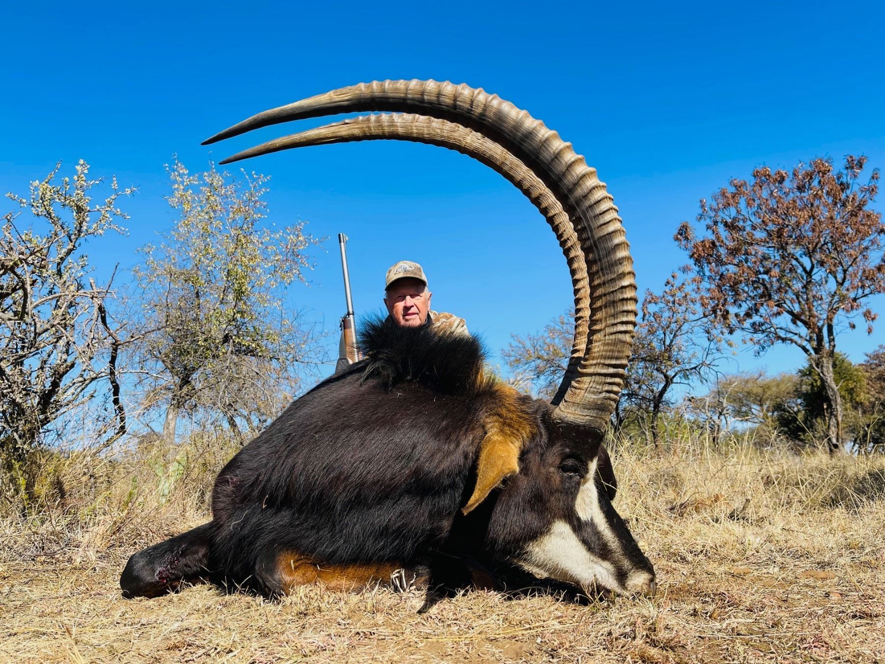 Sable Hunter 5-Day South Africa Rooseveld Sable Hunt for One (1) Hunter & One (1 ...