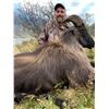 Image 2 : 5-Day Bull Tahr Hunt for One (1) Hunter in New Zealand