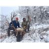 Image 1 : 6-Day Bear/Elk/Mule Deer Hunt for One (1) Hunter in San Juan National Forest