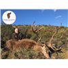 Image 1 : 5-Day Spain Hunting Trip for Two (2) Hunters and Two (2) Non-Hunters