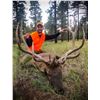 Image 1 : 2024 Utah San Juan Bull Elk Conservation Permit, Multi-Season