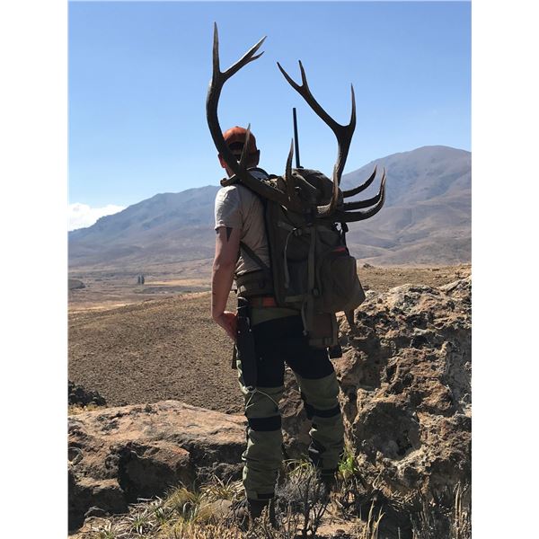 7-Day Argentina Red Deer Hunt for One (1) Hunter and One (1) Non-Hunter