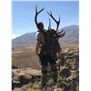 Image 1 : 7-Day Argentina Red Deer Hunt for One (1) Hunter and One (1) Non-Hunter