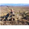 Image 1 : Arizona Mule Deer Archery Hunt for 2 Hunters