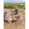 Image 2 : Arizona Mule Deer Archery Hunt for 2 Hunters