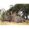 Image 1 : 7-Day South African Safari for Two (2) Hunters for Two (2) Impala and Two (2) Nyala