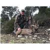 Image 2 : 5-Day Roe Deer Hunt in Spain for One (1) Hunter and (1) Non-Hunter