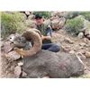 Image 1 : Mexico Desert Bighorn Sheep Hunt Tiburon Island for 1