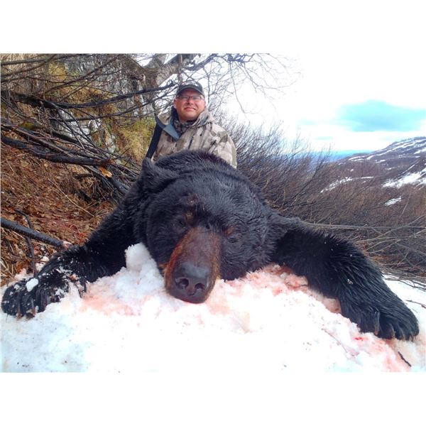 Alaska Black Bear Hunt for 2