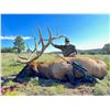 Image 2 : 13-Day Elk Hunt for One (1) Hunter on the Acoma Pueblo