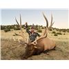 Image 3 : 13-Day Elk Hunt for One (1) Hunter on the Acoma Pueblo