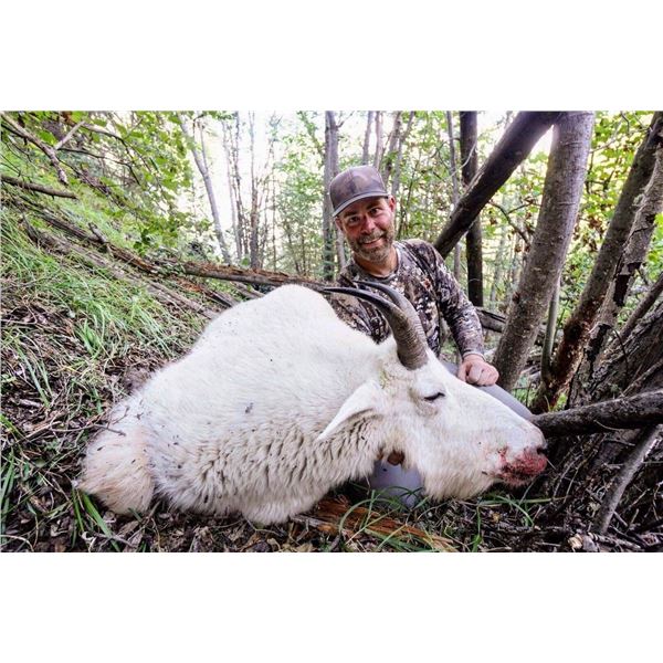 2025 10 - Day Mountain Goat, Black Bear and Wolf Hunt - Full Curl Stone Outfitters BC