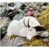 Image 2 : 2025 10 - Day Mountain Goat, Black Bear and Wolf Hunt - Full Curl Stone Outfitters BC