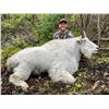 Image 3 : 2025 10 - Day Mountain Goat, Black Bear and Wolf Hunt - Full Curl Stone Outfitters BC