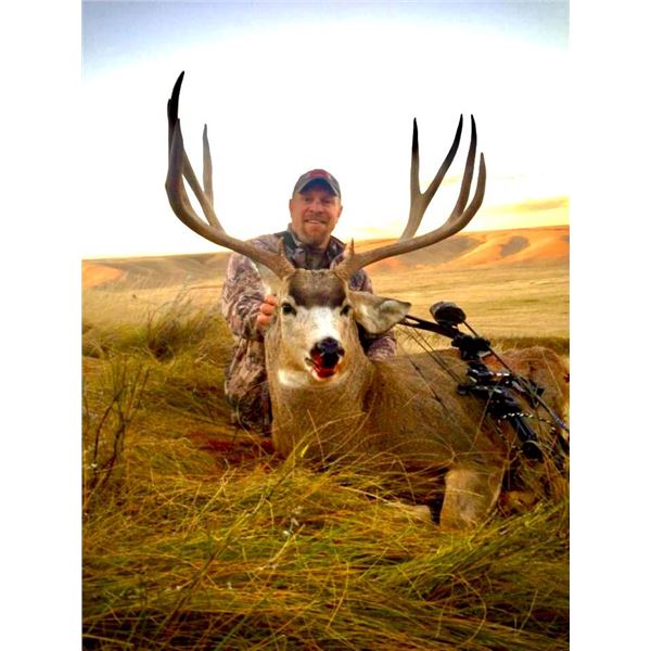 2024 or 2025 Premier Alberta Mule Deer Hunt