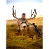 Image 1 : 2024 or 2025 Premier Alberta Mule Deer Hunt