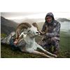 Image 1 : 10 DAY HORSEBACK DALL SHEEP HUNT WITH ARCTIC RED RIVER OUTFITTERS, NWT