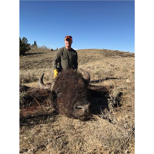 2024 Wyoming Governor’s Bison License