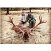 Image 1 : 4-Day Hunt in Spain for Two (2) Hunters for Two (2) Iberian Red Deer