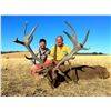 Image 2 : 4-Day Hunt in Spain for Two (2) Hunters for Two (2) Iberian Red Deer