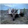 Image 2 : Alberta Minister’s Provincial-Wide Special License (MSL) – Moose