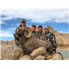 Image 1 : 2024 Utah Book Cliffs, South Rocky Mountain Bighorn Sheep Conservation Permit, Any Legal weapon