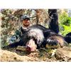 Image 1 : 2024 Utah Statewide Black Bear Conservation Permit - Multi-Season