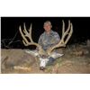 Image 2 : 2024 Utah Henry Mtns Buck Deer Conservation Permit, Hunters Choice of Season/Weapon