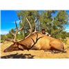 Image 1 : 7-Day Bull Elk Hunt for Two (2) Hunters (One (1) Trophy and One (1) Management Bull Elk) on the Zuni