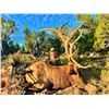 Image 8 : 7-Day Bull Elk Hunt for Two (2) Hunters (One (1) Trophy and One (1) Management Bull Elk) on the Zuni