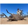 Image 2 : 10-Day Thabazimbi, South Africa Guided Plains Game Safari for Two (2) Hunters for One (1) Nyala and