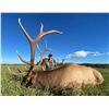 Image 1 : Alberta Minister’s Special License – Elk