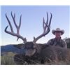 Image 1 : 2024 Oregon Statewide Deer Tag