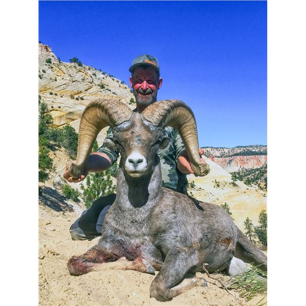 2024 Utah San Rafael, Dirty Devil, Desert Bighorn Sheep Conservation Permit - Any Legal Weapon (Rifl