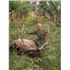 Image 2 : 2024 Utah San Juan Bull Elk Conservation Permit, Any Legal Weapon Season Choice