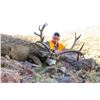 Image 1 : 2024 Utah Fillmore, Oak Creek LE Buck Deer Conservation Permit, Hunter’s Choice of Season/Weapon