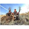 Image 2 : 2024 Utah Fillmore, Oak Creek LE Buck Deer Conservation Permit, Hunter’s Choice of Season/Weapon