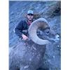 Image 2 : 2024 or 2025 Premier Rocky Mountain Bighorn Sheep Hunt