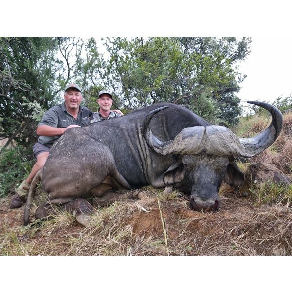 7-Day South Africa Cape Buffalo Hunt for Two (2) Hunters