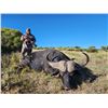 Image 3 : 7-Day South Africa Cape Buffalo Hunt for Two (2) Hunters