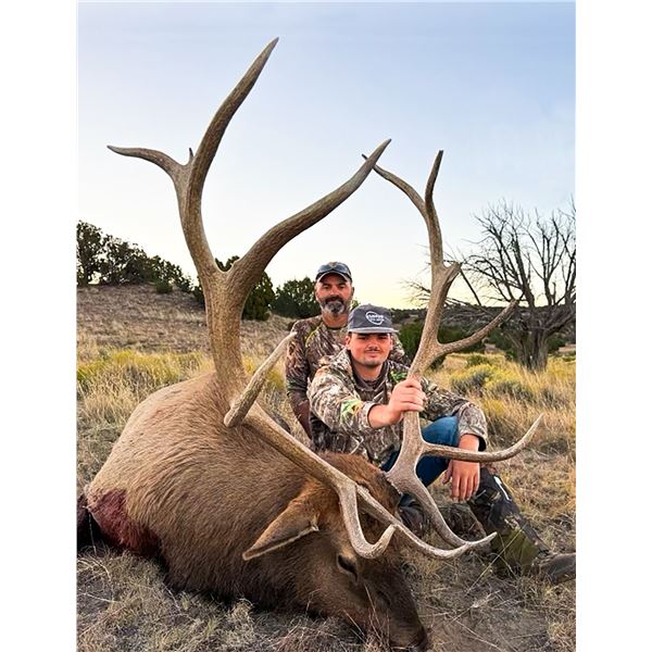 2024 New Mexico Trophy Landowner Guaranteed Tag Rifle Elk Hunt for 2 Hunters