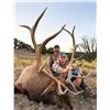 Image 1 : 2024 New Mexico Trophy Landowner Guaranteed Tag Rifle Elk Hunt for 2 Hunters