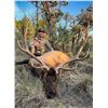 Image 3 : 2024 New Mexico Trophy Landowner Guaranteed Tag Rifle Elk Hunt for 2 Hunters