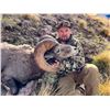 Image 1 : 2024 Utah Fillmore, Oak Creek (Late) Rocky Mountain Bighorn Sheep Conservation Permit, Any Legal wea