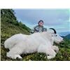 Image 2 : 2024 Alaska Revillagigedo Mountain Goat Permit (SG056)