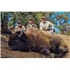 Image 1 : 2024 Utah Statewide Bison Conservation Permit