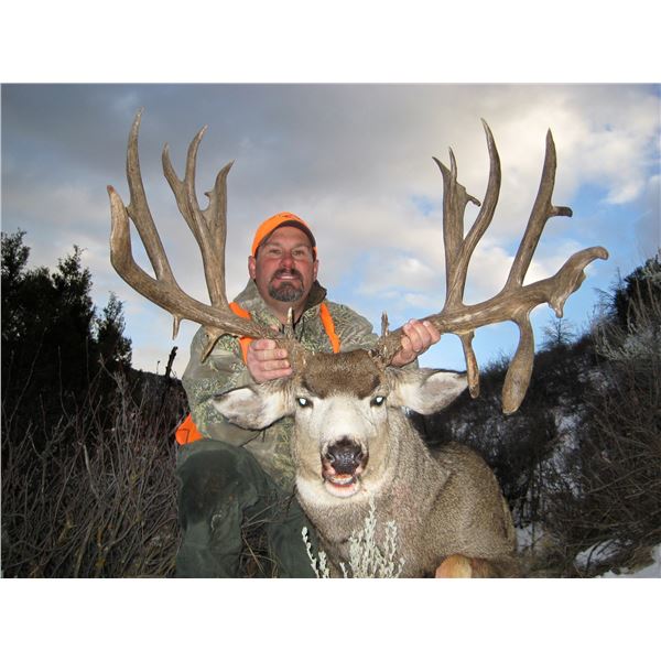 2024 Colorado Statewide Mule Deer License