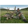 Image 2 : 2024 Colorado Statewide Mule Deer License